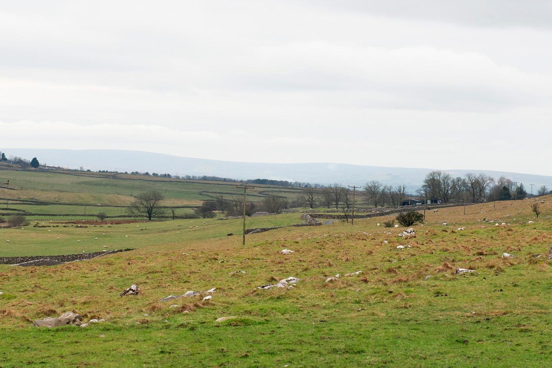 Dalecote Barn Bed & Breakfast 英格尔顿 外观 照片